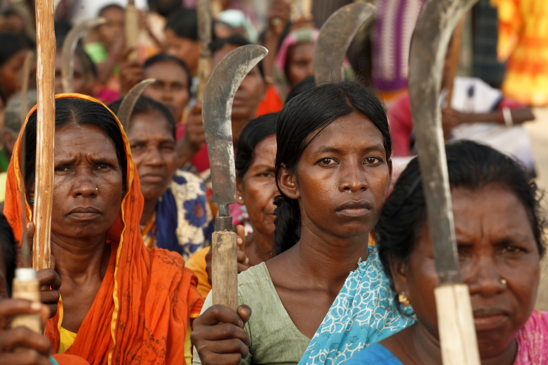 Maruf Rahman auf Pixabay