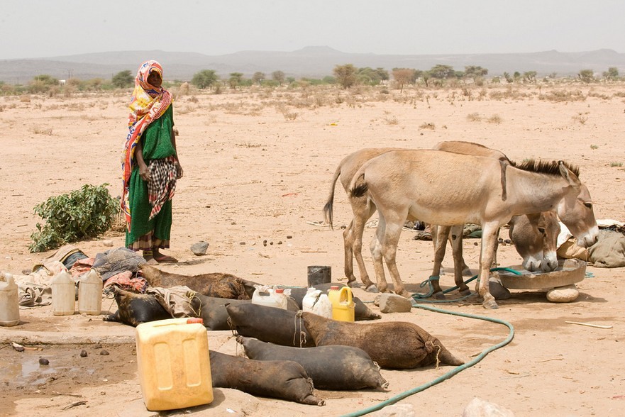 Betroffene der Dürrekrise in Äthiopien / Caritas Internationalis Betroffene der Dürrekrise in Äthiopien