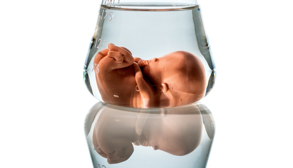 Symbolfoto Embryo, Gentechnik und Abtreibung. Schangerschaft durch künstliche Befruchtung / Erwin Wodicka - wodicka@aon.at, Erwin Wodicka Modell eines Embryos in einem Laborglas. Symbolfoto für Schwangerschaft durch künstliche Befruchtung. Abtreibung und Genmanipulation
