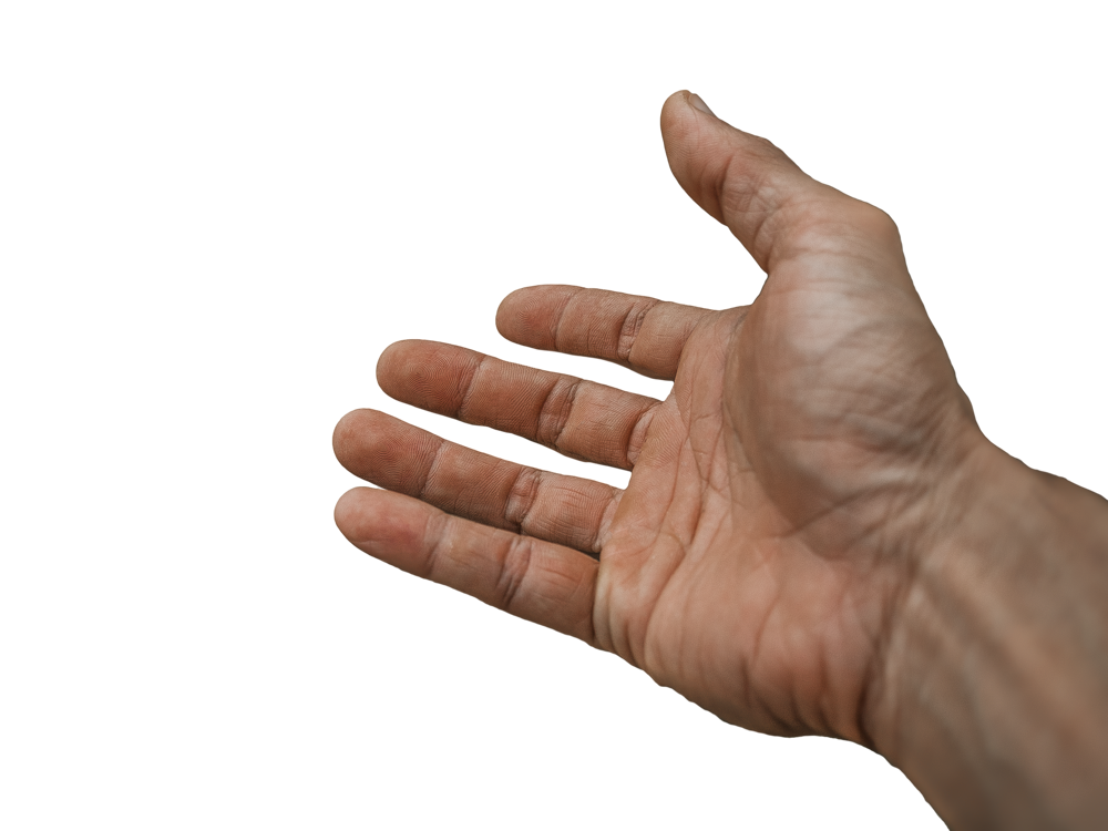 Bild von truthseeker08 auf Pixabay